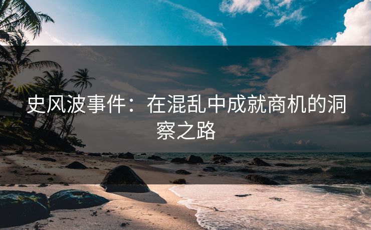 史风波事件：在混乱中成就商机的洞察之路