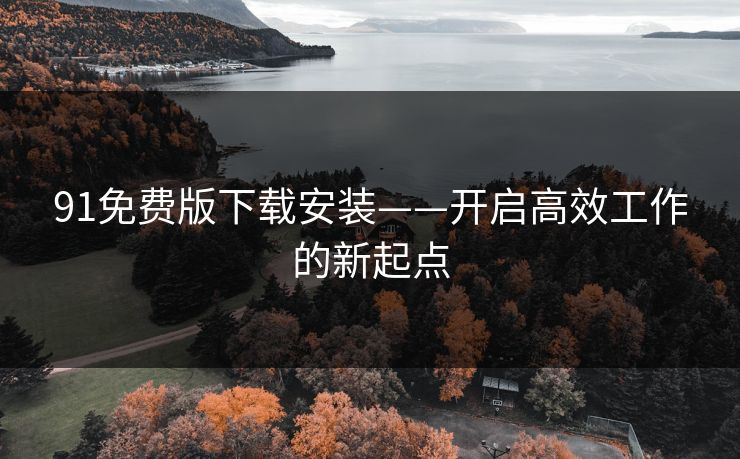 91免费版下载安装——开启高效工作的新起点