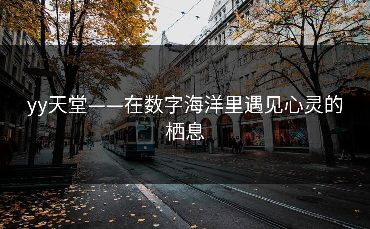 yy天堂——在数字海洋里遇见心灵的栖息