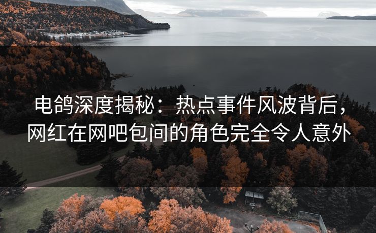 电鸽深度揭秘：热点事件风波背后，网红在网吧包间的角色完全令人意外
