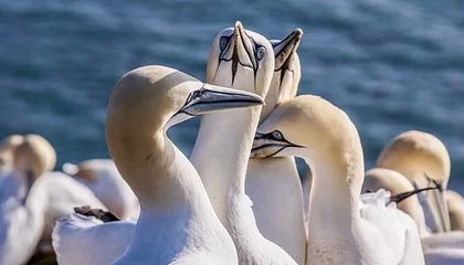 上个月爆了：蘑菇片场深夜独白，完整复盘终于来了｜看完再骂我