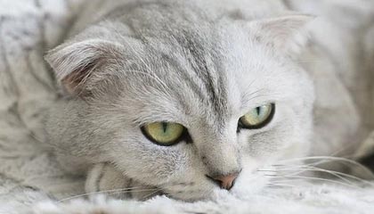 上个月爆了：蘑菇片场深夜独白，完整复盘终于来了｜看完再骂我