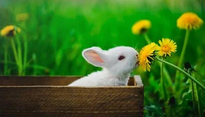 17c官网——实锤来了：教程区有变化，别再走错路了