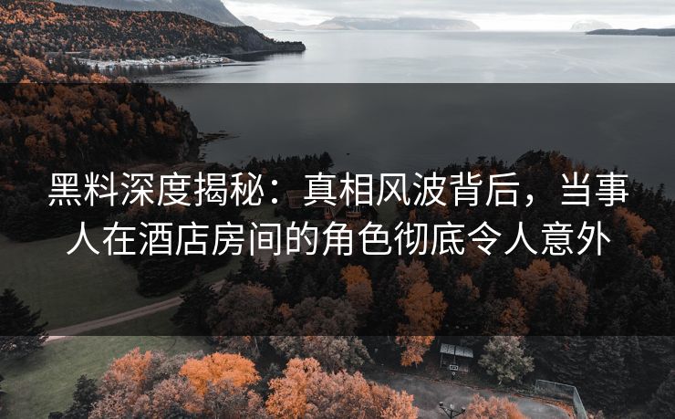 黑料深度揭秘：真相风波背后，当事人在酒店房间的角色彻底令人意外