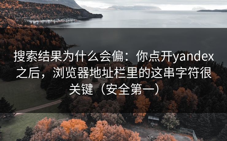 搜索结果为什么会偏：你点开yandex之后，浏览器地址栏里的这串字符很关键（安全第一）