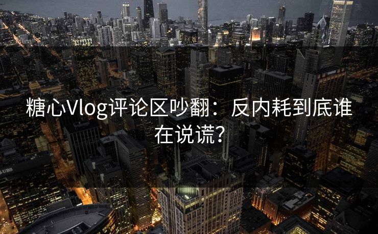糖心Vlog评论区吵翻:反内耗到底谁在说谎?